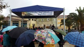 20151014_103532_resized